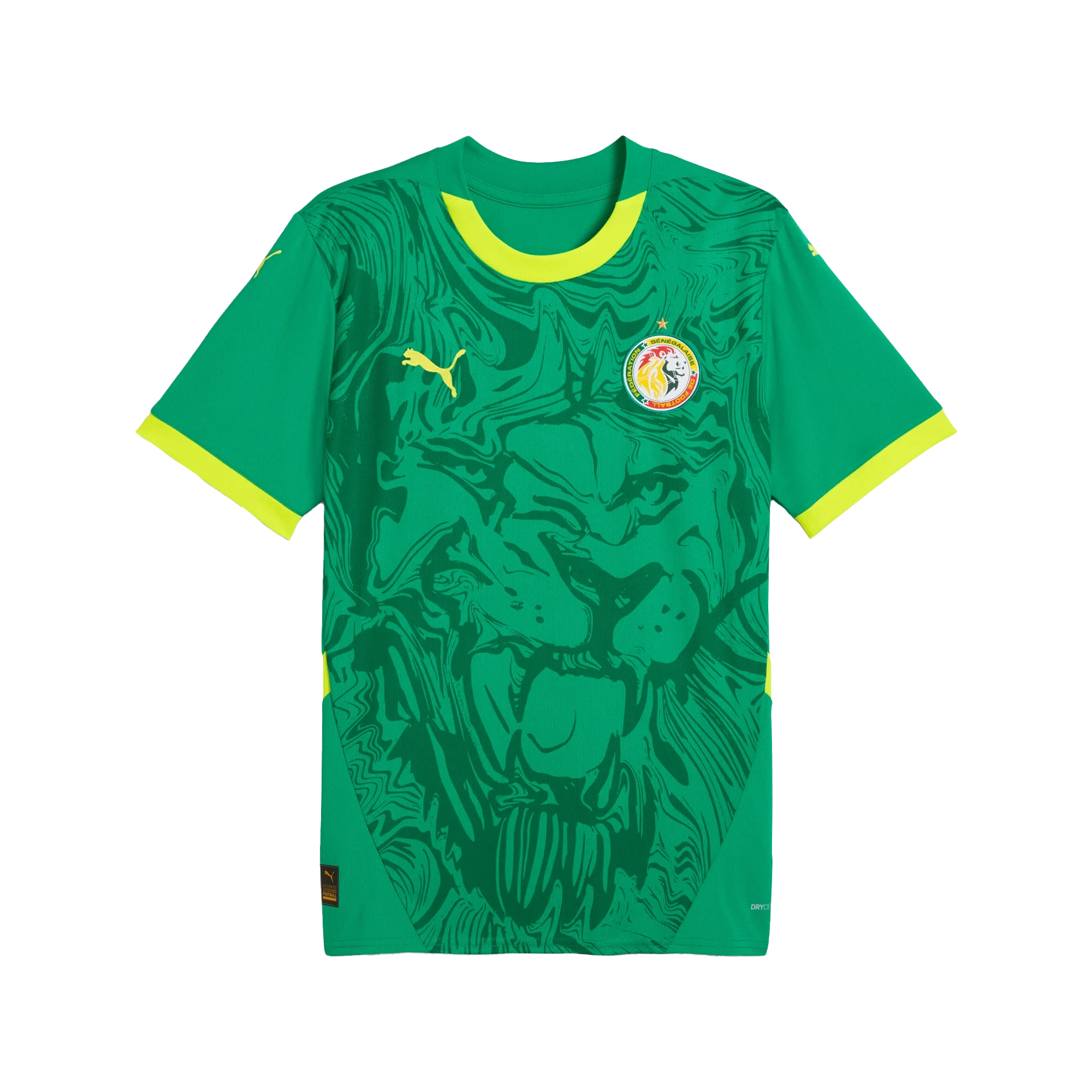Maillot de foot Sénégal